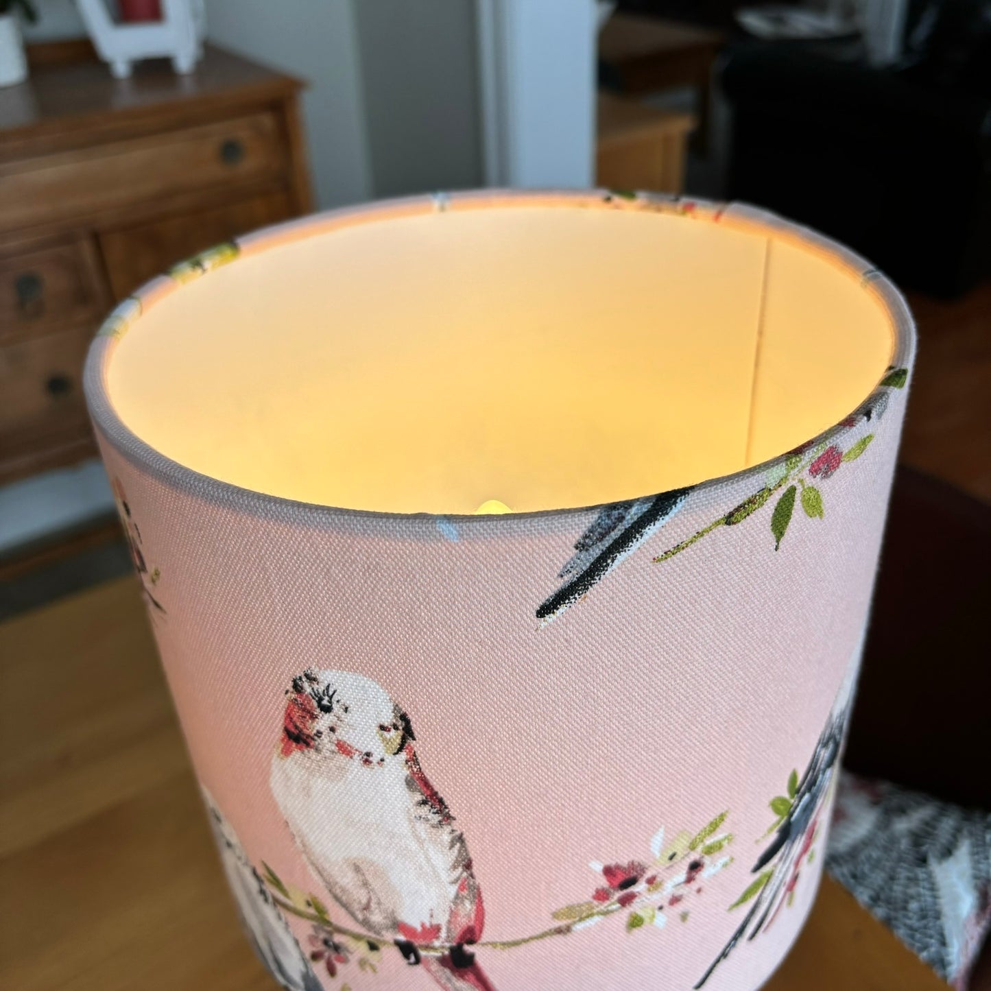 Budgie Birds in Pink